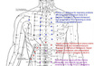write your post permanently on my PR3 website for your Acupuncture web site