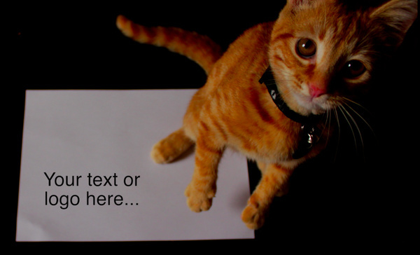 alt_text.html_safe