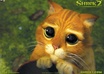 give you 5 different childrens story writing promps and funny pictures book