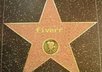 send you 5 pictures with your name, website, etc on a Hollywood star