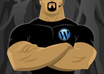 Wordpress-security.gif