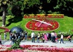 Via-del-mar-reloj-de-flores-a29994270