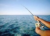 teach You How To Catch Fishes