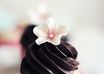 send you 5 unique cupcake recipes