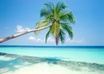 plan your summer vacation small1