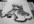 draw your picture using graphic pen