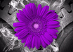 write a poem for mothers day for you