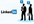 provide 10 LinkedIn Endorsements + 1 Recommendation