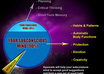 send you a weight loss hypnotherapy CD