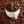 coffeebeans
