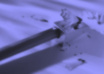 create an mla bibliography or an apa works cited page
