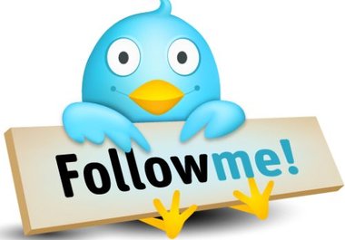 show you how to get 500 or more followers per day on Twitter big1