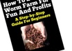 show you how to create a worm farm from scratch small1