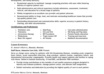 help make your resume look professional and neat