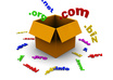 give you advice on how to name your website