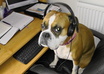 transcribe up to 10 minutes of audio or video
