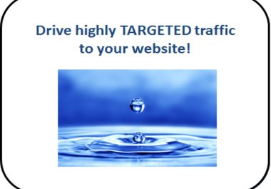 teach you how to get highly targeted traffic to your website big1