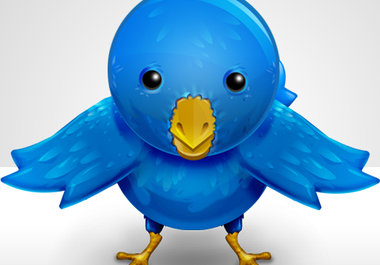 get you 500 followers to your twitter account big1