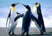 make your pen drive or external hard drive secure so no virus would ever infect it till u format it