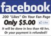 guarantee you 200 "Likes" to your Facebook Fan Page In 48 Hours