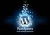 install wordpress theme and 5 plugins on your domain small1