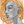 achillesian
