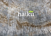 write haiku on any topic for you to use for school or as a gift