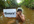 promote your website,company name or any message on the Tree