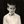 yarnod