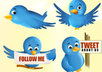 Twitter_icon