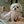 animatedvideo