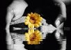 color splash two of your photos small1