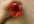 make a duct tape rose pen and ship it to you