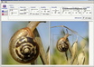resize up to 10 images