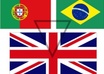 fluently translate up to 250 words from portuguese to english or from english to portuguese