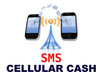 teach you TODAY how to Earn Money Tomorrow helping companies use S M S Texting