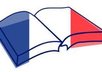 tanslate any article from english to french