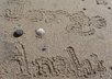 write anything you want on the SAND