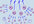 provide 2000k edu blog list and 27k AutoApprove List