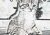 create a Charcoal Sketch Image for you or your pet