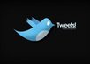 tweet about your site 10 times