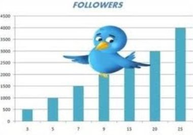 say what you want on my Twitter big1