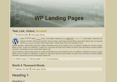 send you 10 wp landing pages for your website big1