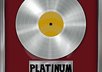 professionally produce a Radio Ready Hip Hop or Rap Beat
