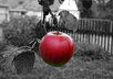 modify your pictures small1
