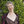 asklorraine