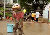 help stop animal cruelty with your donation