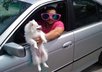 befriend you on facebook small1