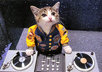 tell you how to pick the best DJ for your wedding