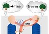 speak mandarin/cantonese for you